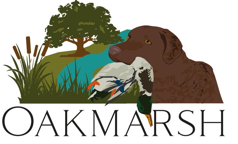 Oakmarsh Chesapeakes